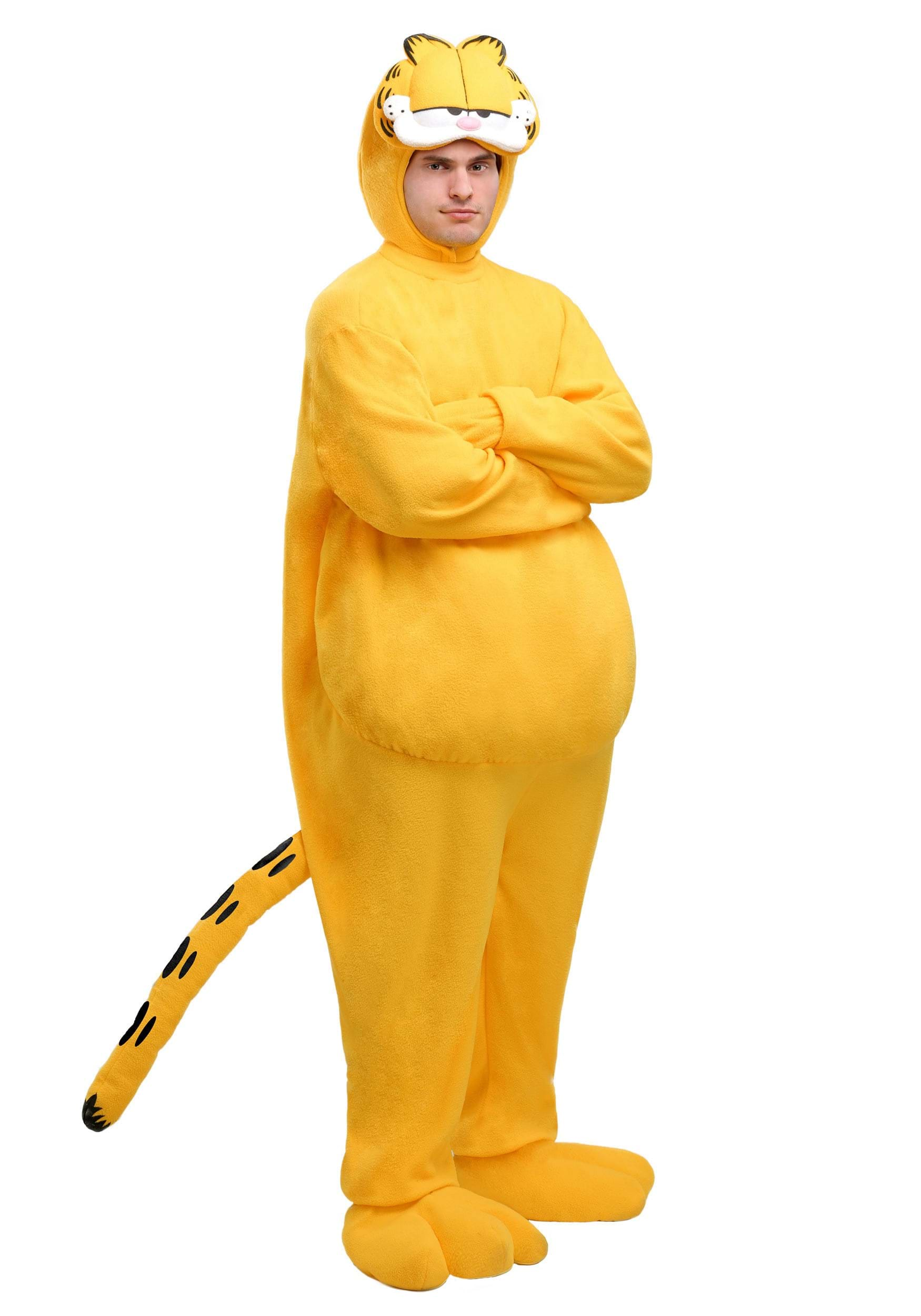 Garfield Fancy Dress Costume for Adults