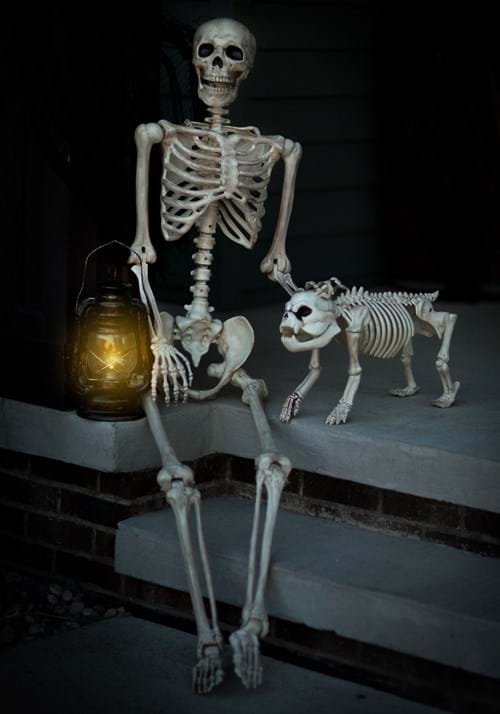 Realistic Poseable Skeleton