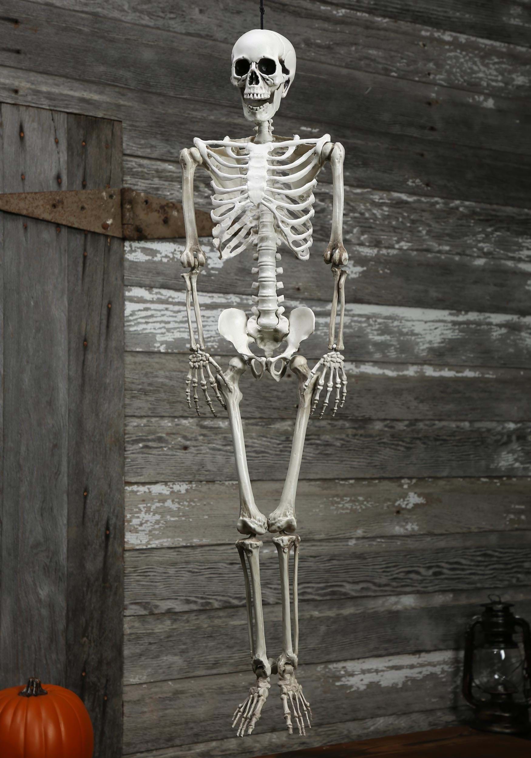 3FT Plastic Realistic Skeleton Halloween Prop , Skeleton Decorations