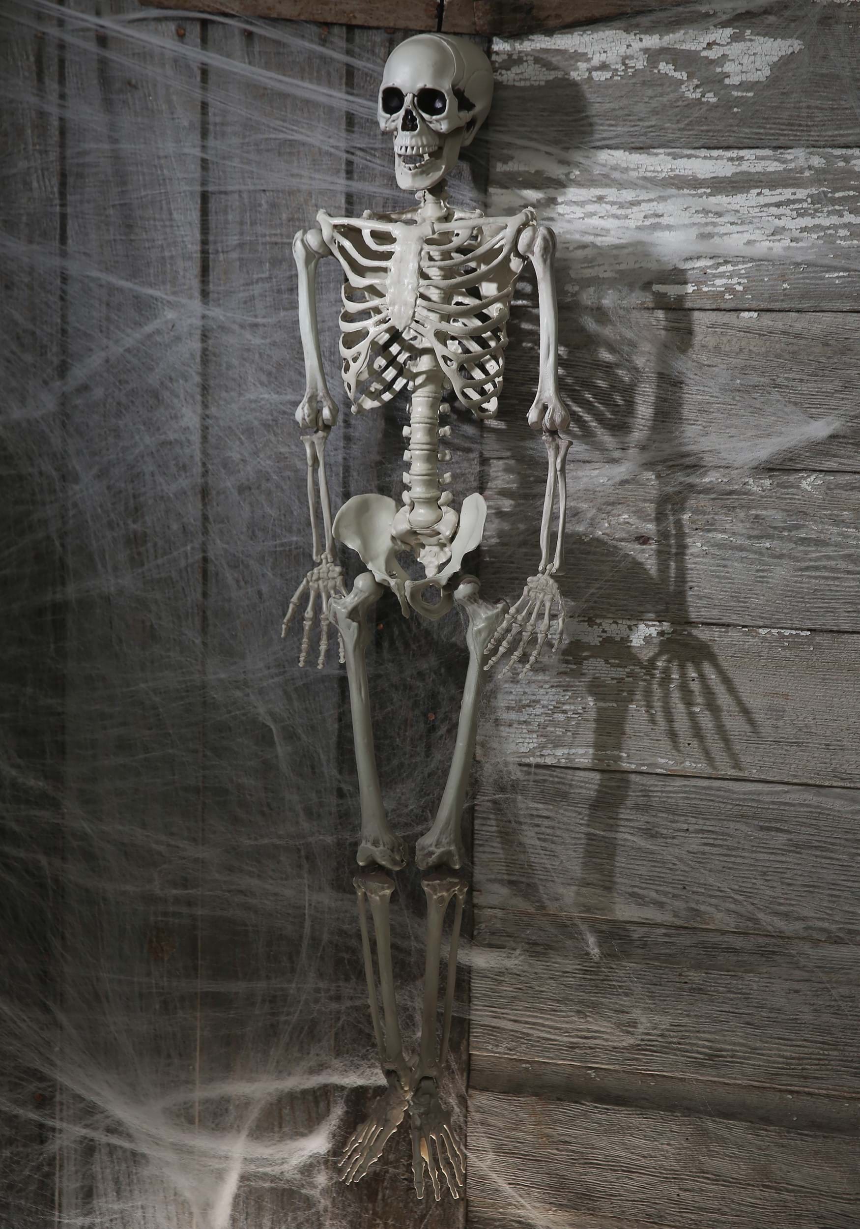 3FT Plastic Realistic Skeleton Halloween Prop , Skeleton Decorations
