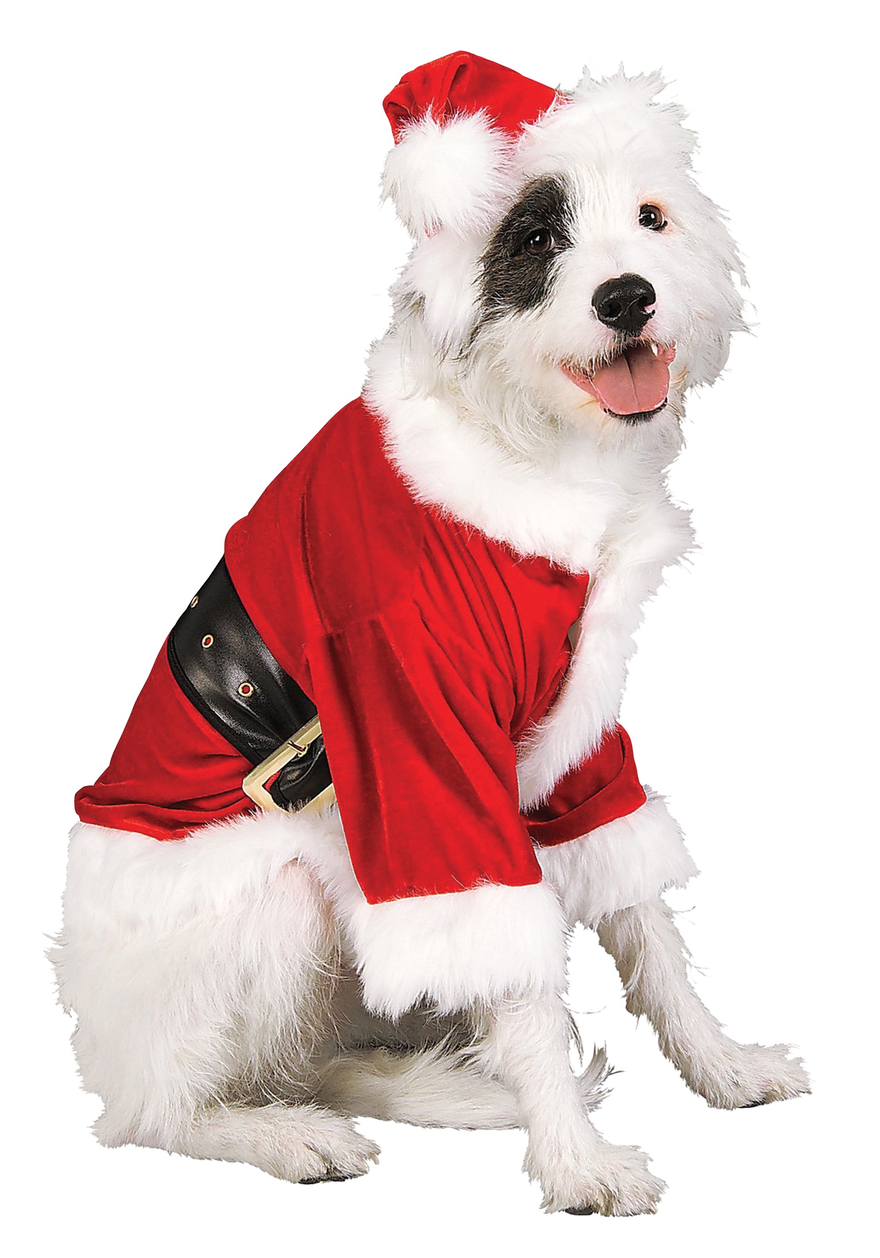 Pet Santa Fancy Dress Costume