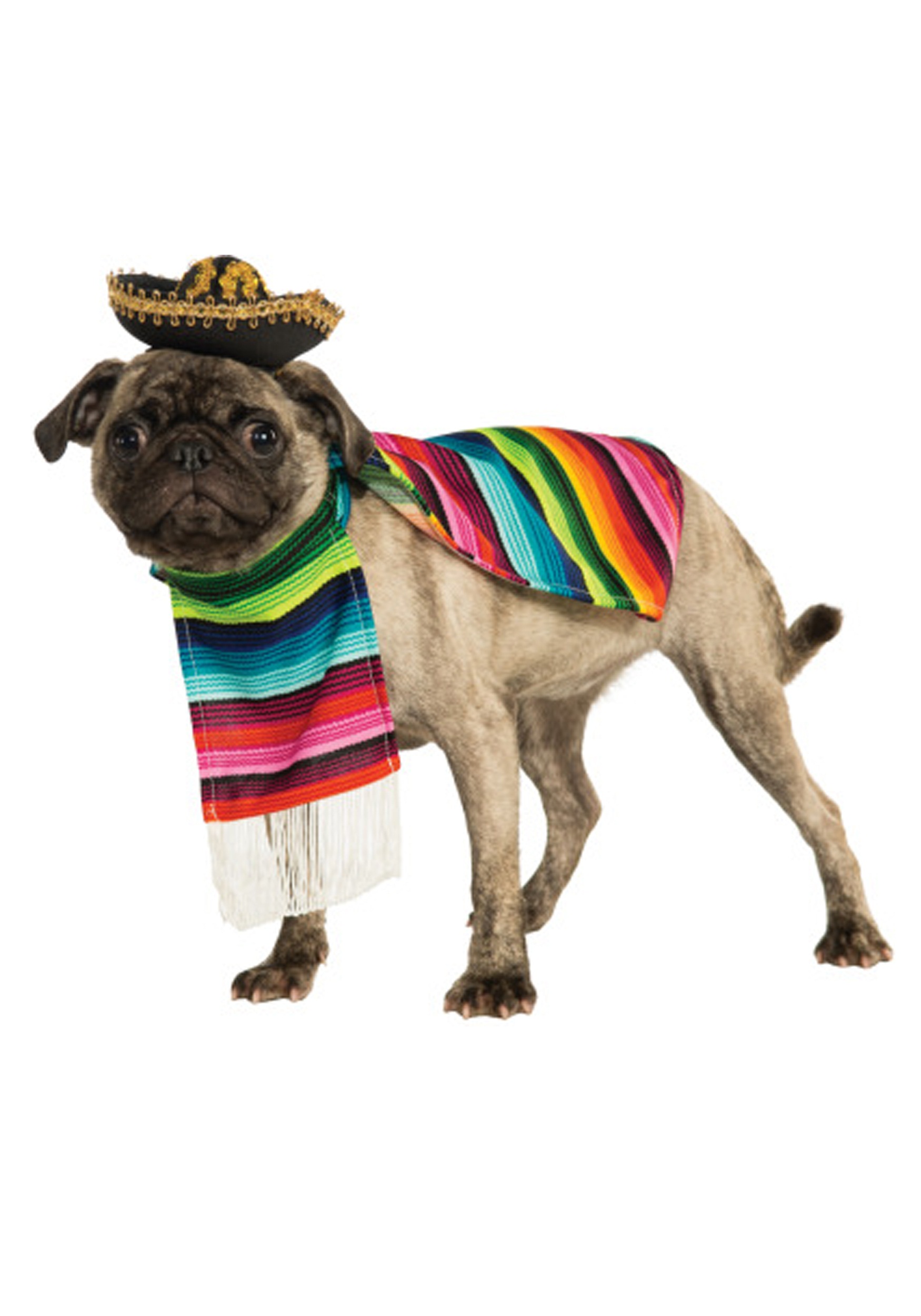 Pet Mexican Serape Fancy Dress Costume