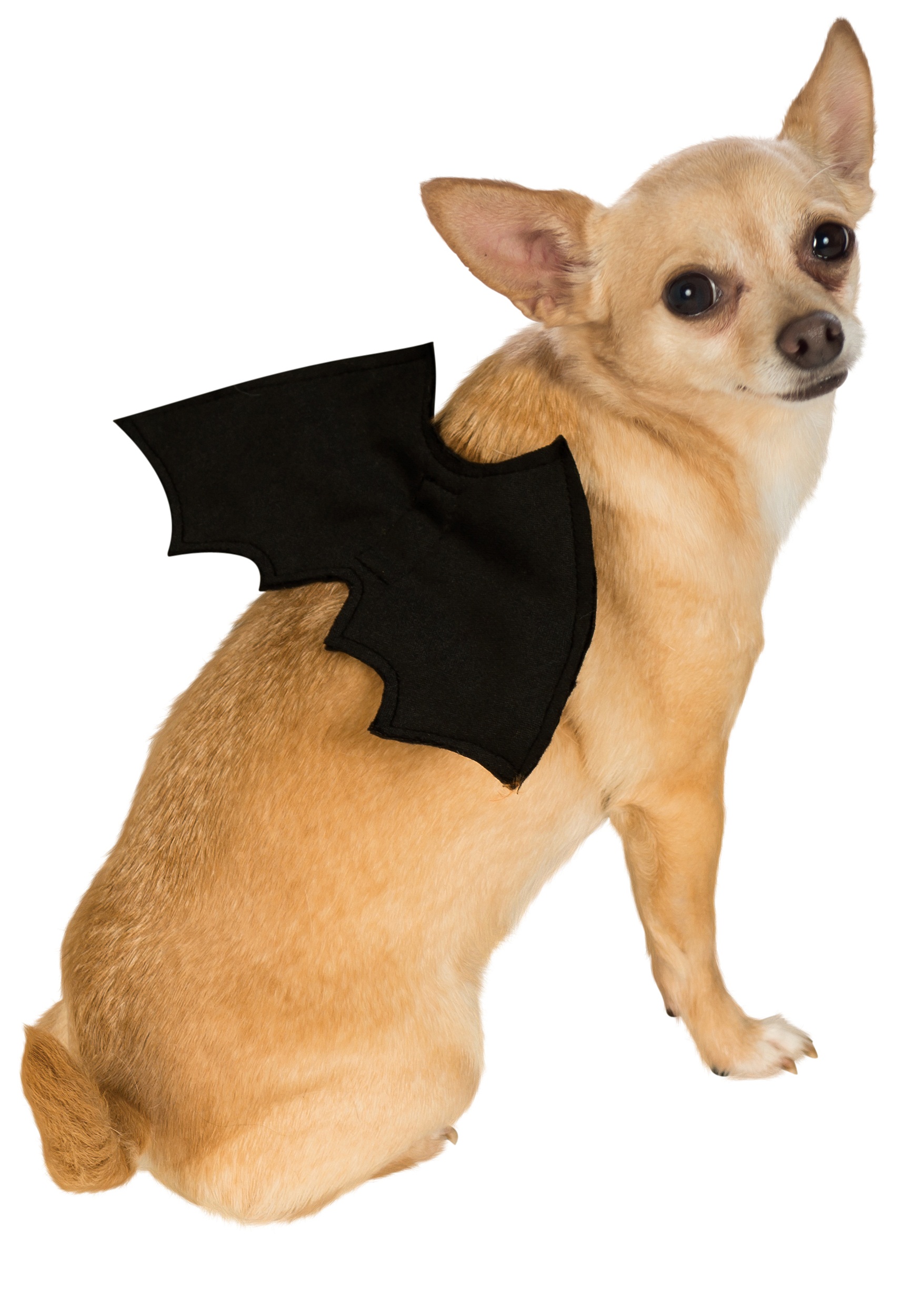 Pet Bat Wings Fancy Dress Costume