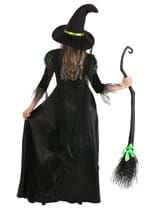 Womens Storybook Witch Costume