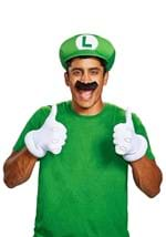 Luigi Adult Accessory Kit