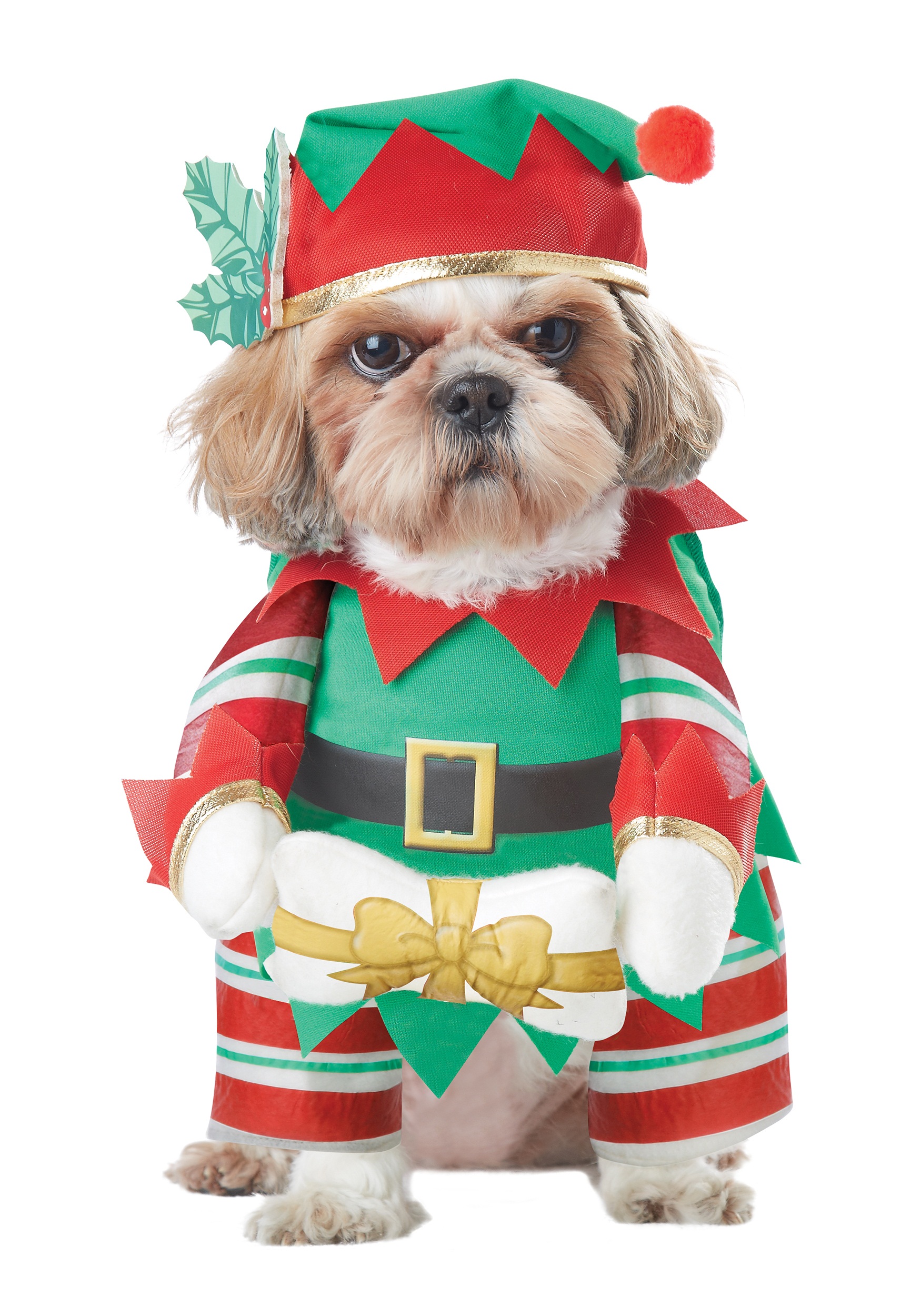 Dog Fancy Dress Costume Elf Pup
