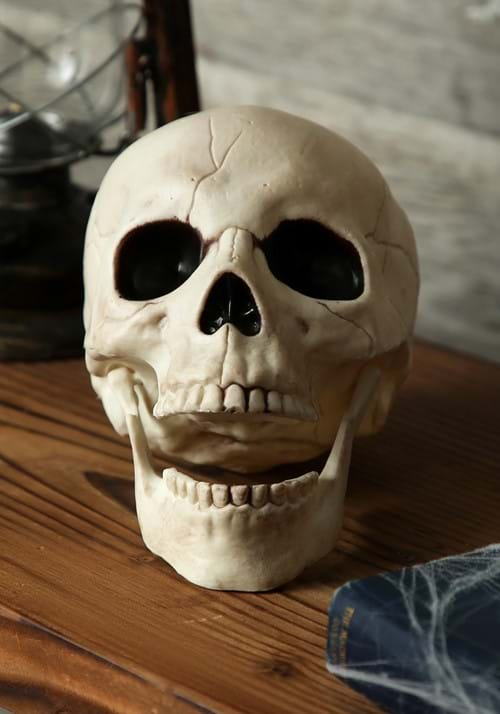 Movable Jaw Skull