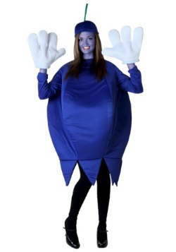 Adult Plus Size Blueberry Costume