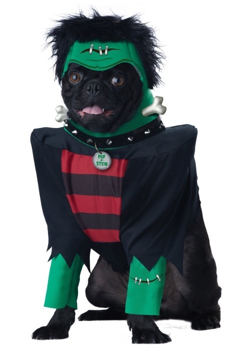 Frankenpup Dog Costume