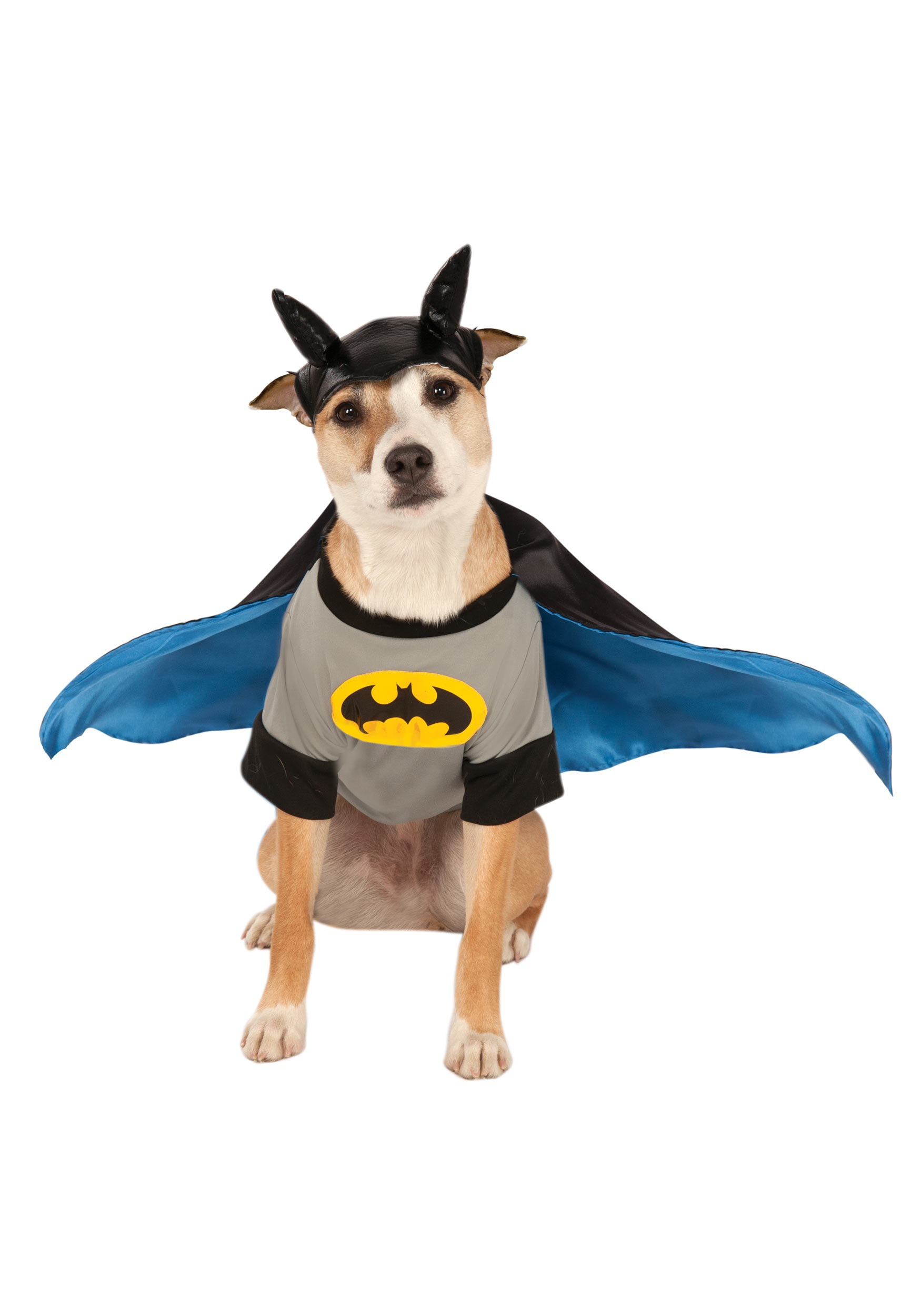 Pet Batman Fancy Dress Costume