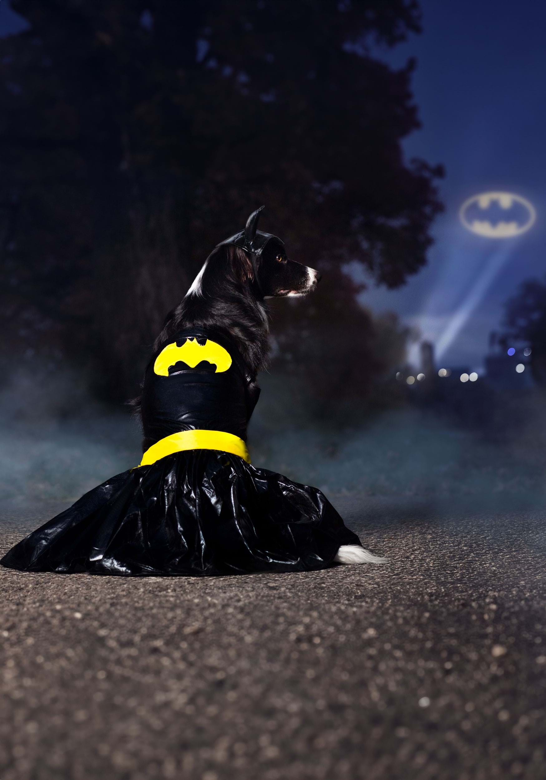 Pet Batgirl Fancy Dress Costume