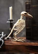 Skeleton Raven