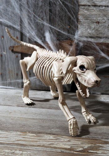 Beagle Bonez 20" Skeleton Dog Update