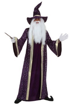 Wizard Costumes for Kids and Adults