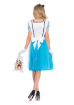 Womens Classic Alice Tea Length Costume