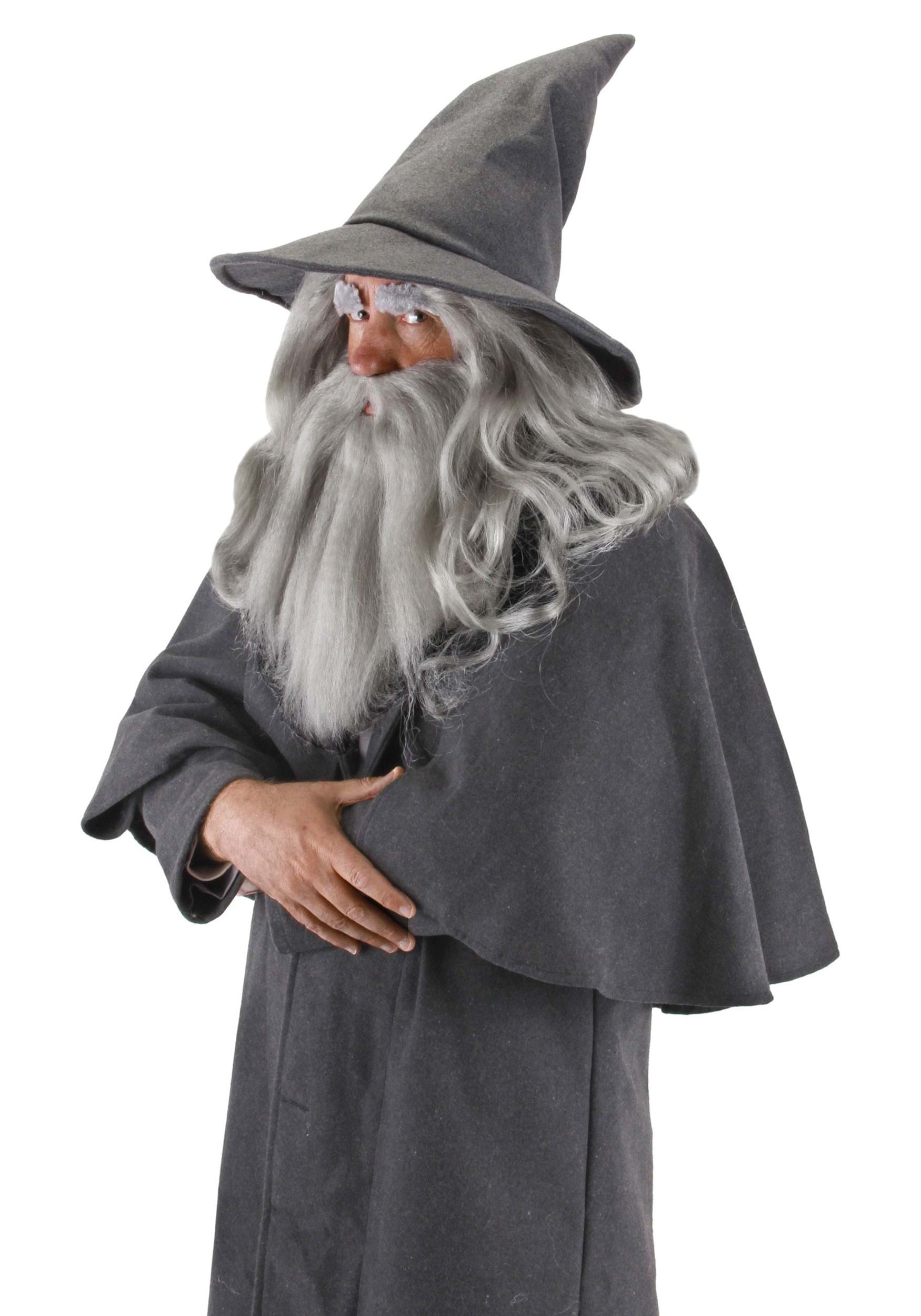 Photos - Fancy Dress Fancy FUN Costumes Lord of the Rings Grey Gandalf  Dress Costume Hat Gray E 