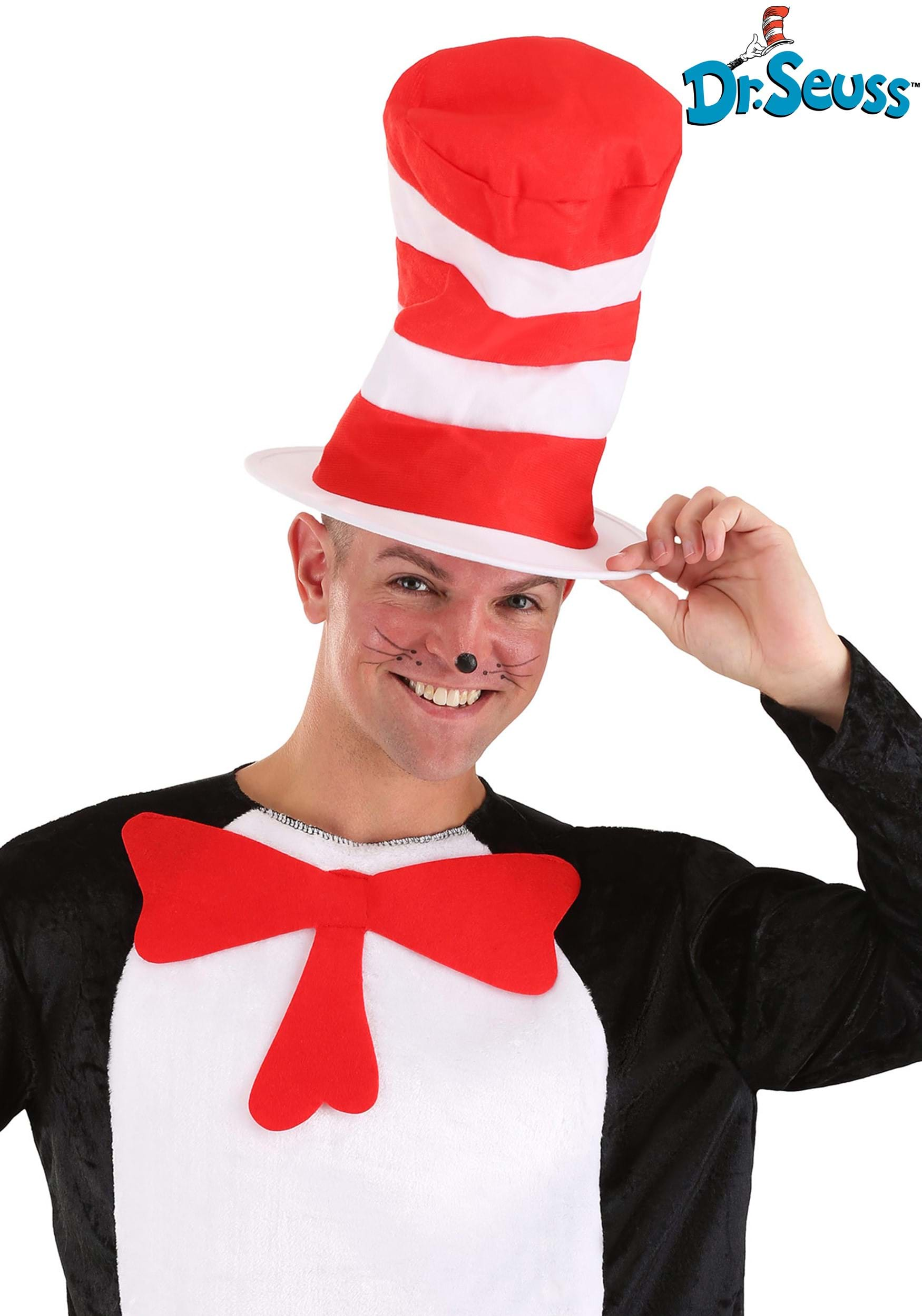 Cat in the Hat Storybook Adult Hat