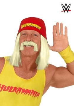 WWE Hulk Hogan Wig1