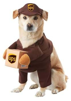 Dog Halloween Costumes for Pets