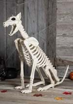 Spike the Skeleton Dog Alt 1