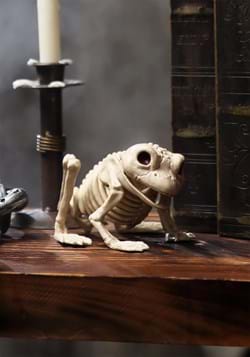 Halloween Decoration Skeleton Frog 