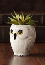 Harry Potter Hedwig Mug 