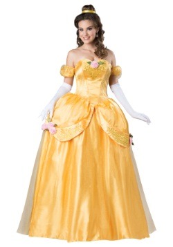 Adult Beautiful Princess Costume