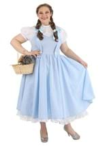 Adult Deluxe Kansas Girl Costume Alt 1