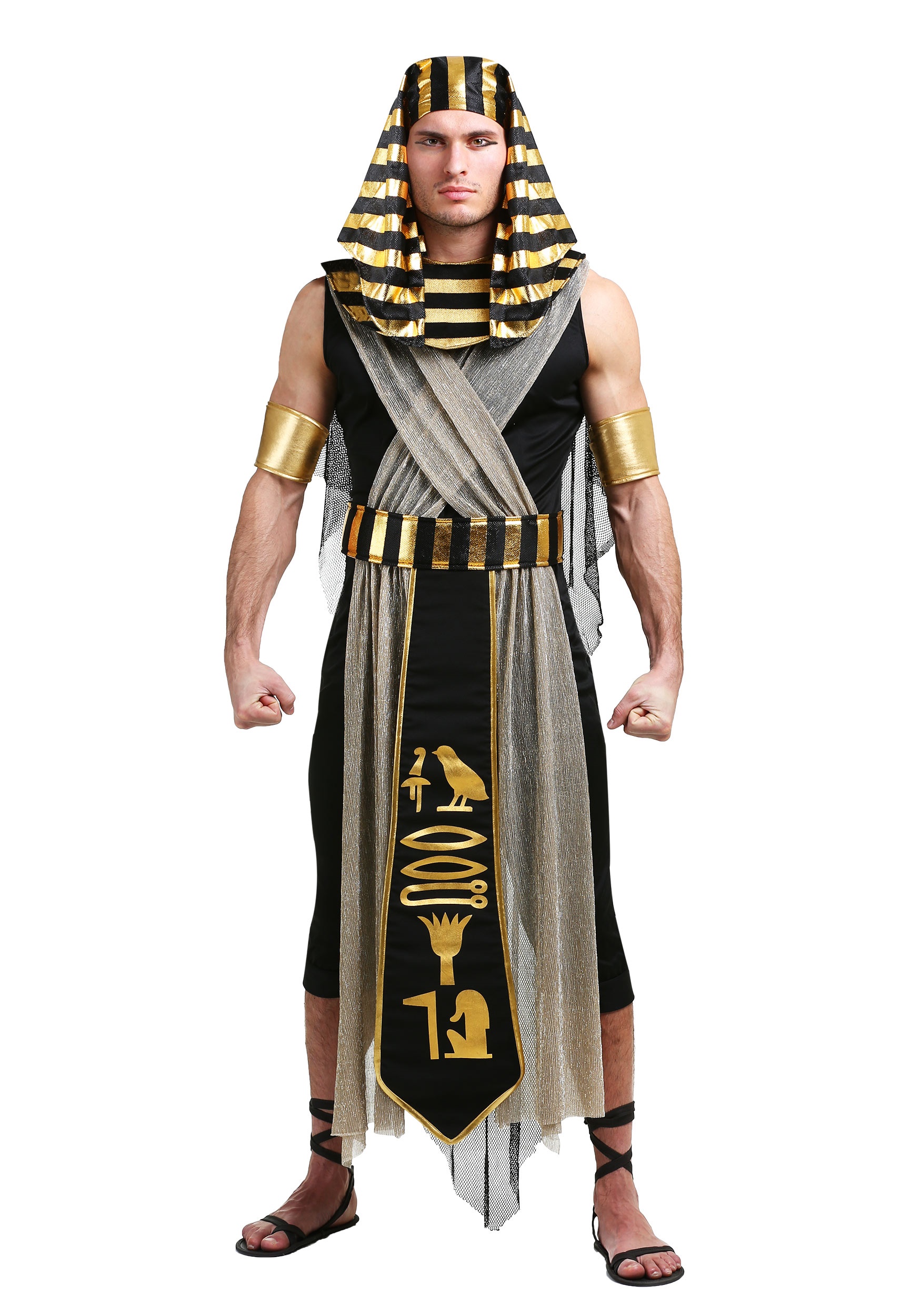 All Powerful Pharaoh Plus Size Fancy Dress Costume , Men's Plus Size Fancy Dress Costumes