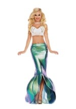 Under the Sea Mermaid Women's Costume Main