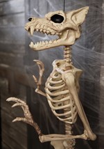 Pose-N-Stay 64" Werewolf Skeleton