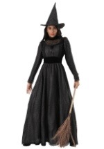 Deluxe Wicked Plus Size Witch Costume