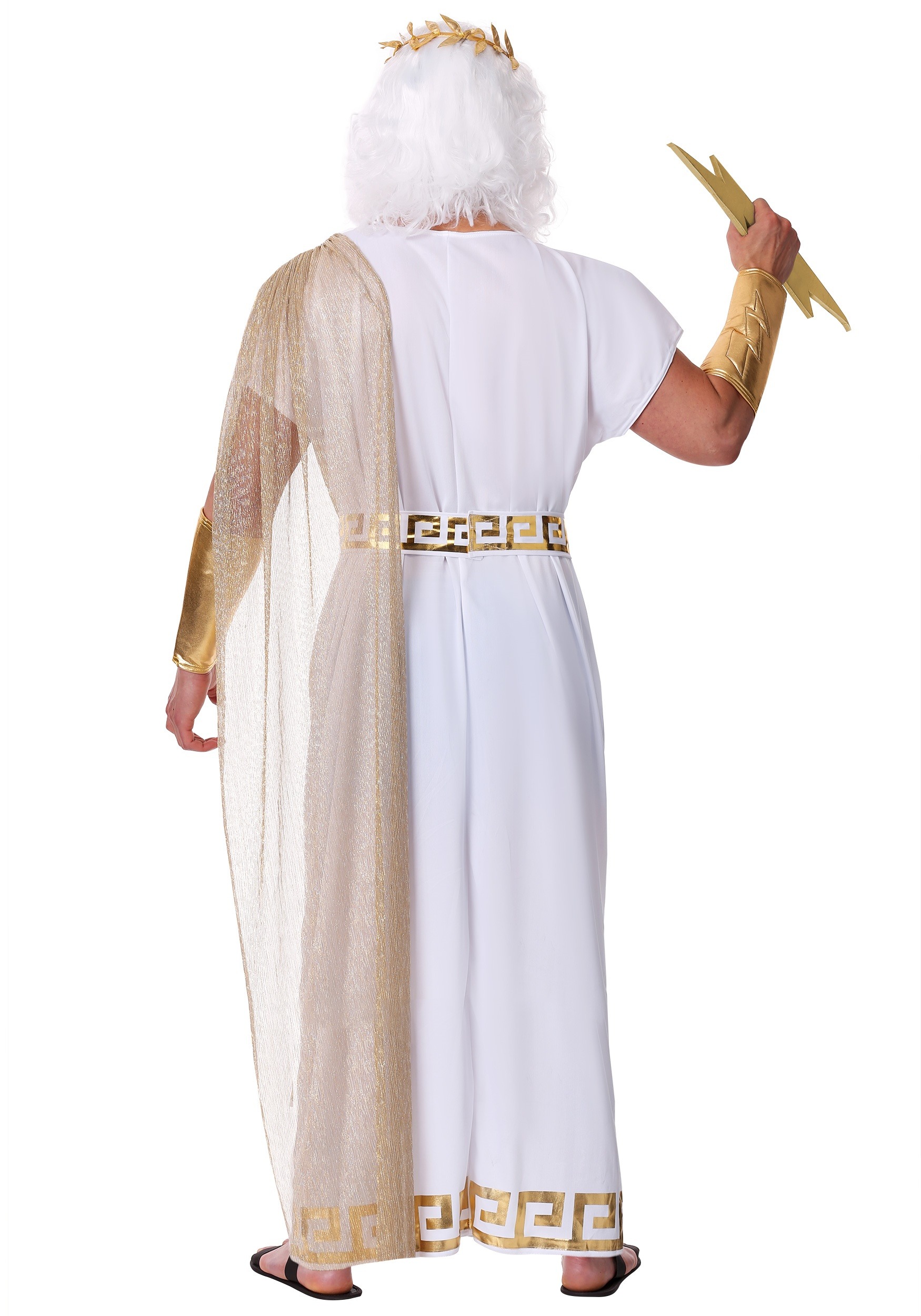 Plus Size Zeus Men's Fancy Dress Costume