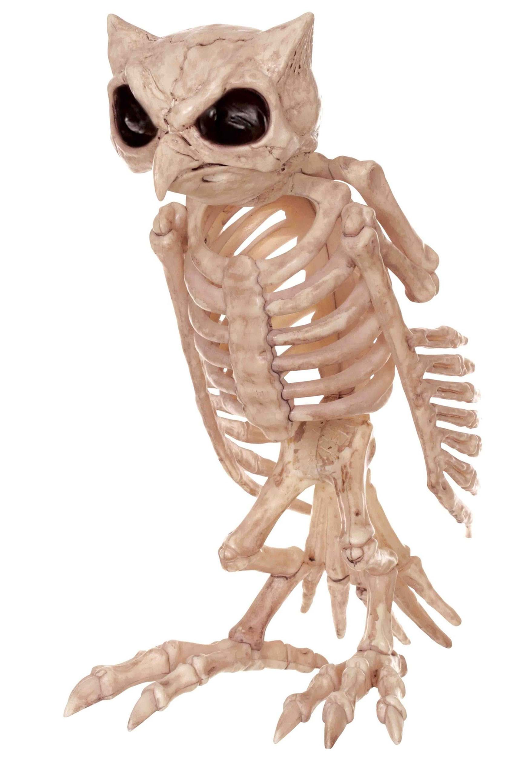 Halloween Owl Skeleton Decoration