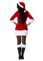 Women's Secret Santa Costume