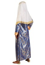 Women's Queen Esther Costume