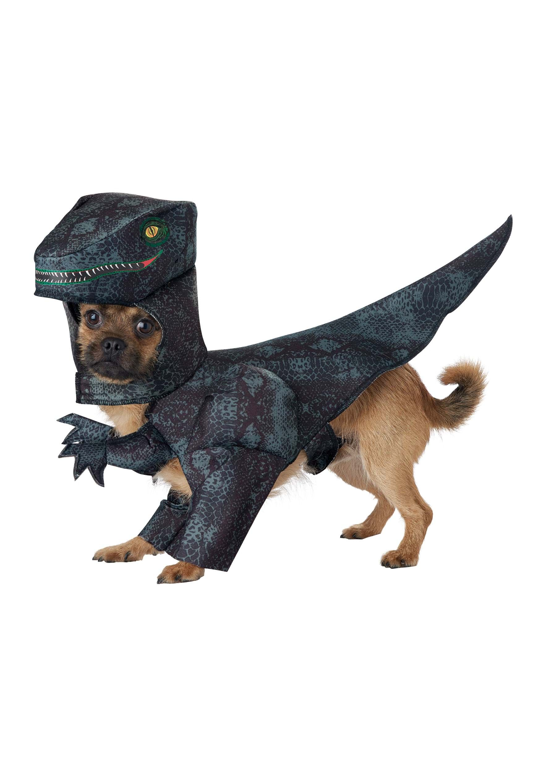 Pupasaurus Rex Dog Fancy Dress Costume