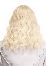 Adult Headmaster Wizard Wig and Beard 2