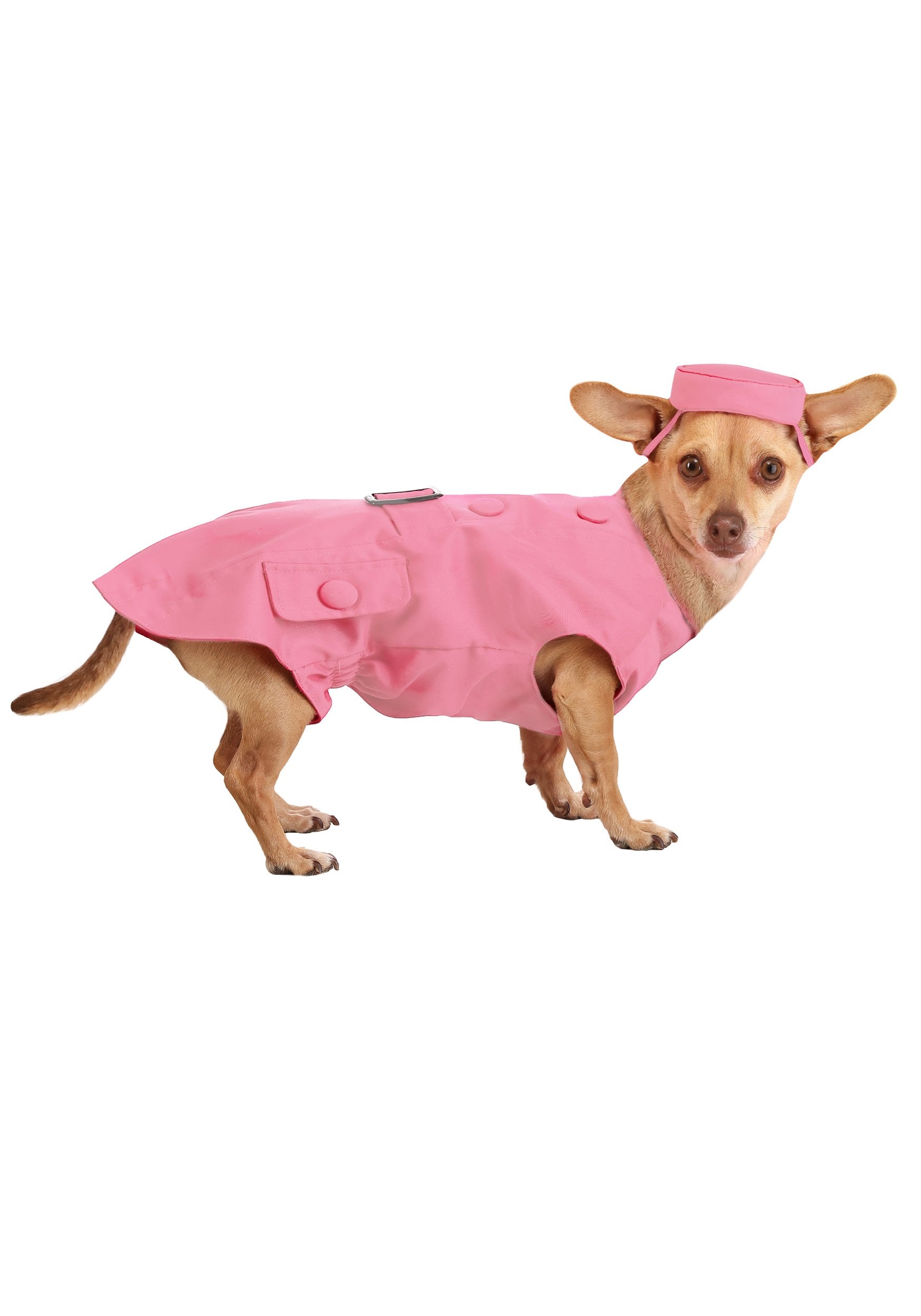 Legally Blonde 2 Bruiser Dog Fancy Dress Costume