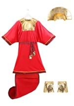 Adult Emperor's New Groove Kuzco Costume