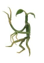 Fantastic Beasts Pickett Bowtruckle Pin Accessory Alt 1