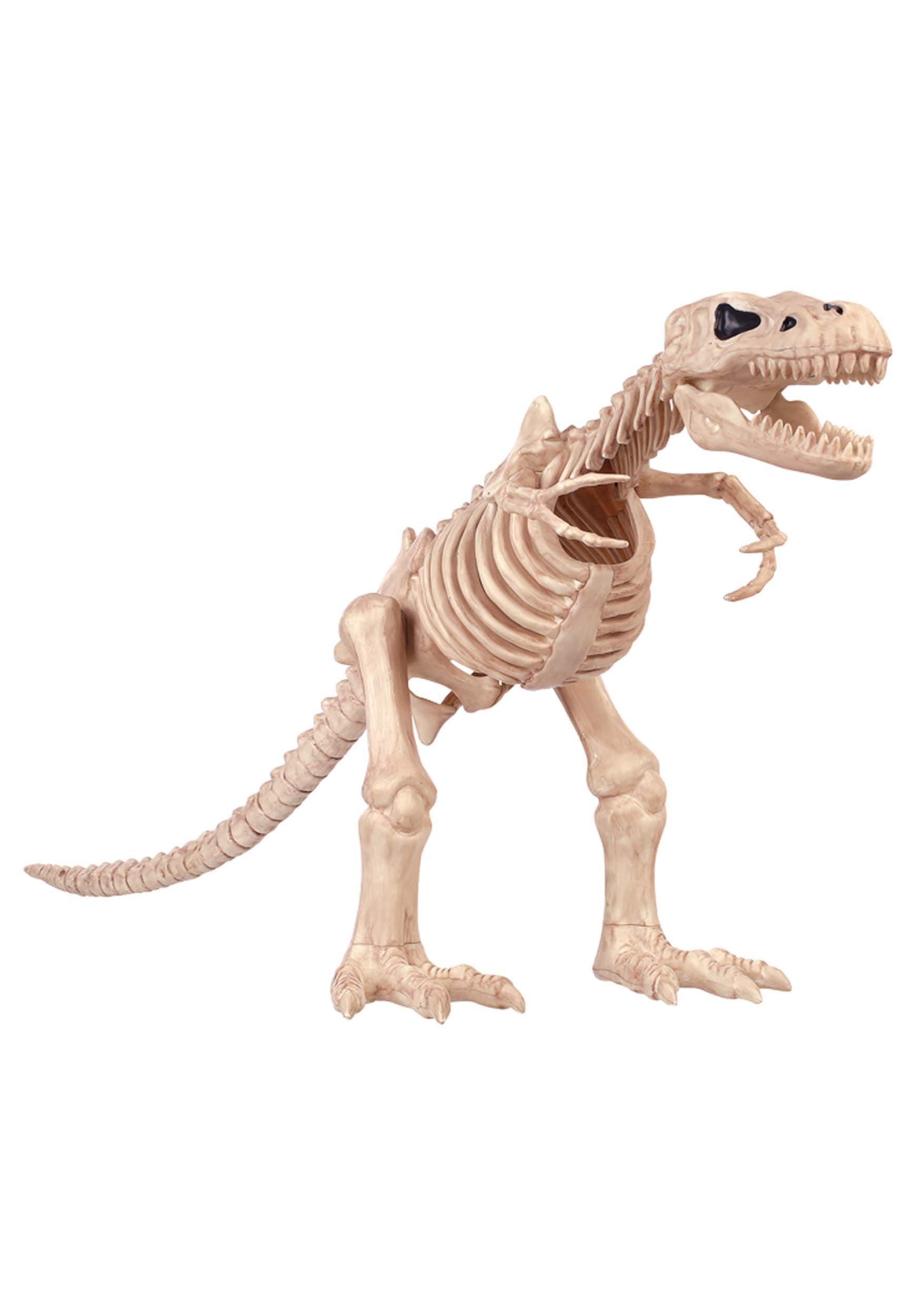 T-Rex 16 Inch Skeleton Decoration , Animal Skeleton