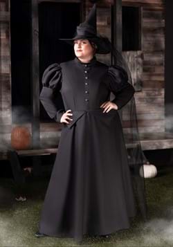 Women's Witch Plus Size Costume