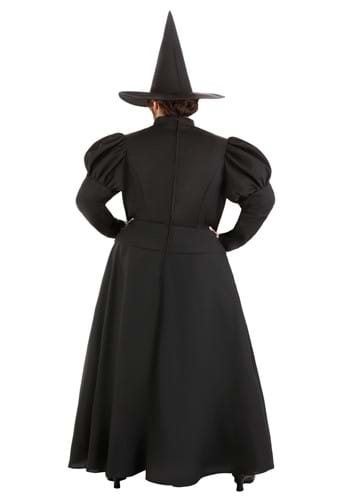 Witch Plus Size Costume for Women