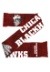 Chicago Blackhawks Wordmark Big Logo Colorblend Scarf