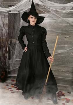 Deluxe Witch Women's Costume
