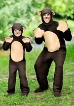 Plus Size Storybook Bear Costume