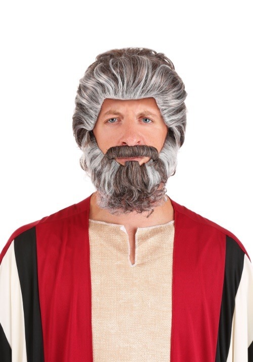 Moses Wig and Beard