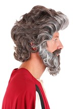 Moses Wig and Beard Alt 2