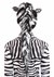 The Women's Zebra Wig Back